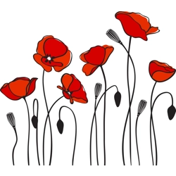 WST POPPIES 3