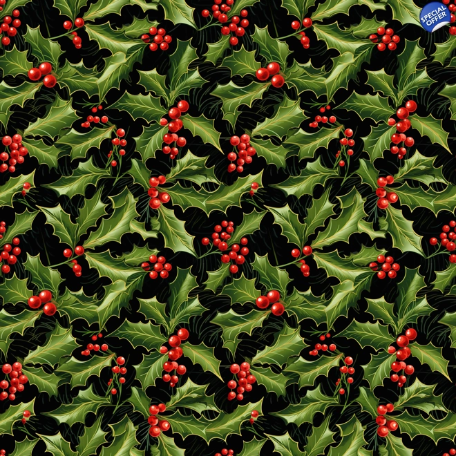 product Image for WST XMAS#13