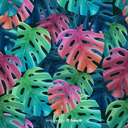 WST TROPICAL #13