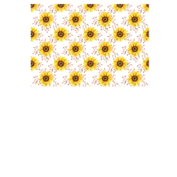 WST SUNFLOWER TRANSFERS
