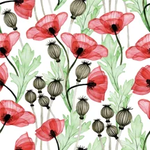 WST POPPIES 1
