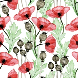 WST POPPIES 1