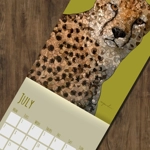 2025 Wildlife Calendar