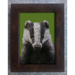Badger framed print 7x5