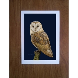 Barn Owl greetings card