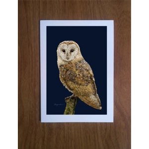 Barn Owl greetings card