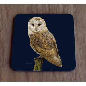 Barn owl single coaster
