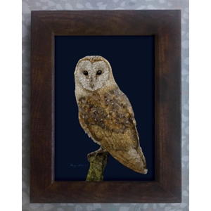 Barn owl framed print 7x5