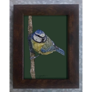 Blue tit framed print 7x5