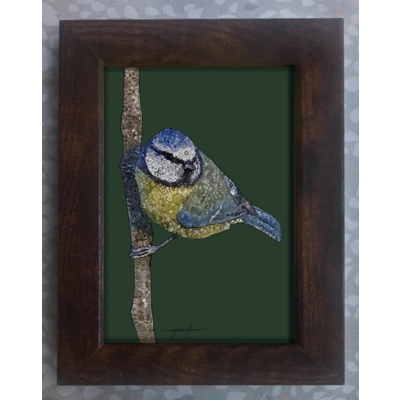 Blue tit framed print 7x5