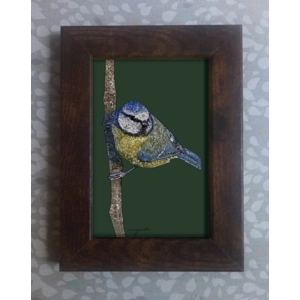 Blue tit framed print 6x4