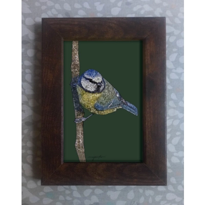 Blue tit framed print 6x4