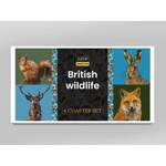 British wildlife coaster set