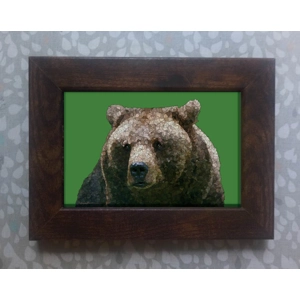 Brown bear framed print 6x4