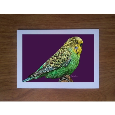 Budgie greetings card