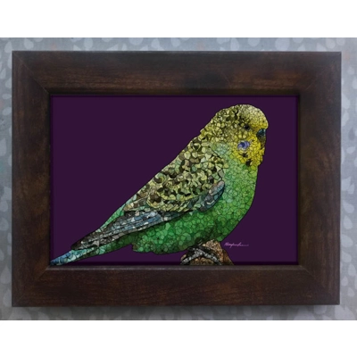 Budgie framed print 7x5