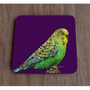 Budgie single coaster