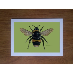 Bumblebee greetings card