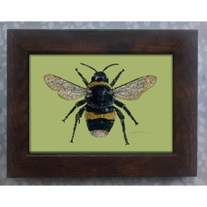 Bumblebee framed print 7x5