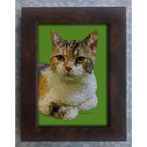 Calico Cat framed print 7x5