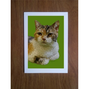 Calico Cat greetings card