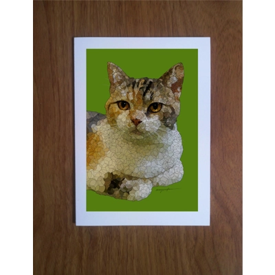 Calico Cat greetings card