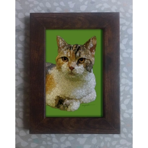 Calico Cat framed print 6x4