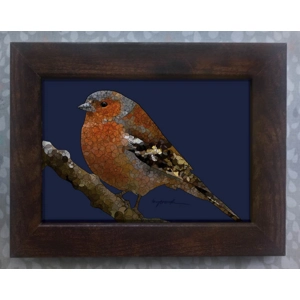 Chaffinch framed print 7x5