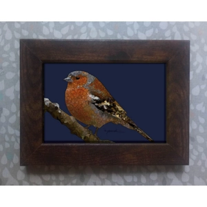 Chaffinch framed print 6x4