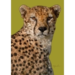 Cheetah Affirmation Card