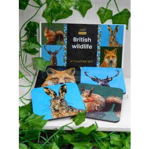 British wildlife coaster set