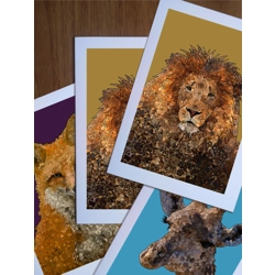 Any 4 cards for £8