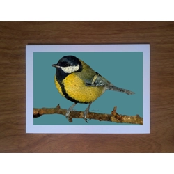 Great tit greetings card
