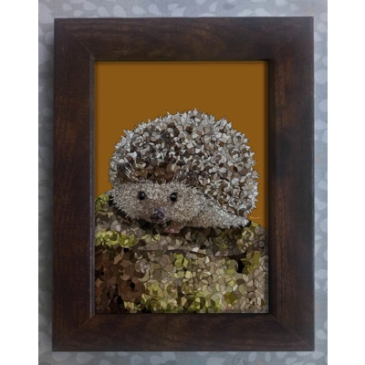 Hedgehog framed print 7x5