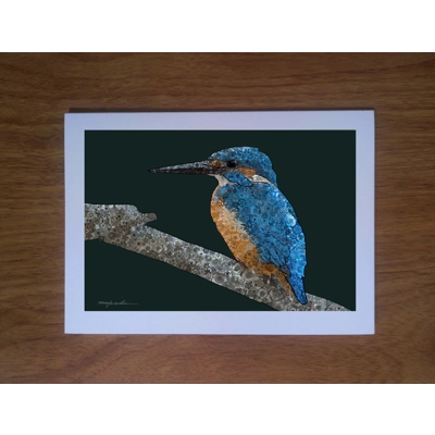 Kingfisher greetings card