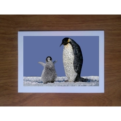 Penguin greetings card