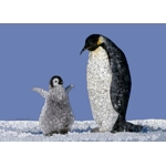 Penguin Affirmation Card