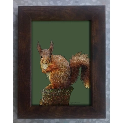 Red squirrel framed print 7x5
