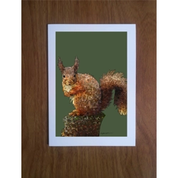 Red Squirrel greetings card