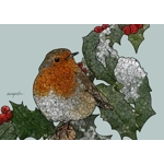 Robin Affirmation Card