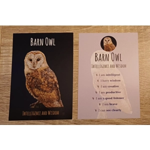 Barn Owl Affirmation Card