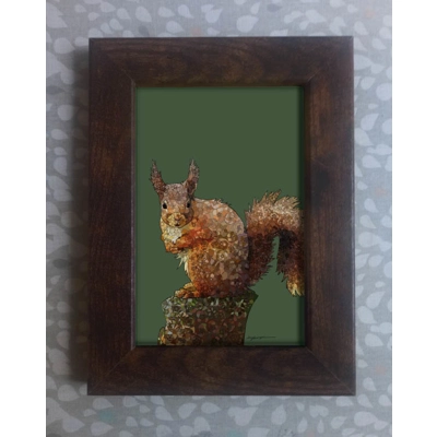 Red squirrel framed print 6x4