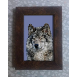 Wolf framed print 6x4