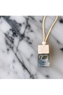 Hanging Car Diffuser