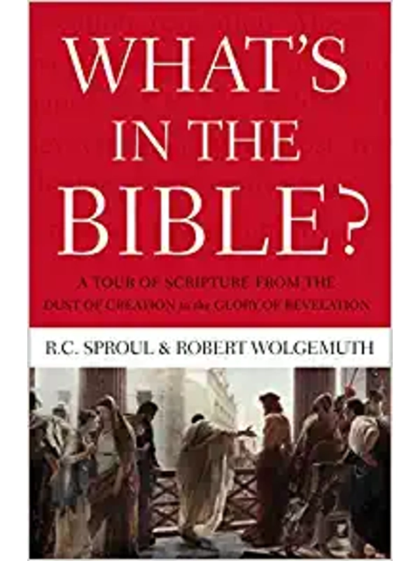 What's In the Bible Hardback
