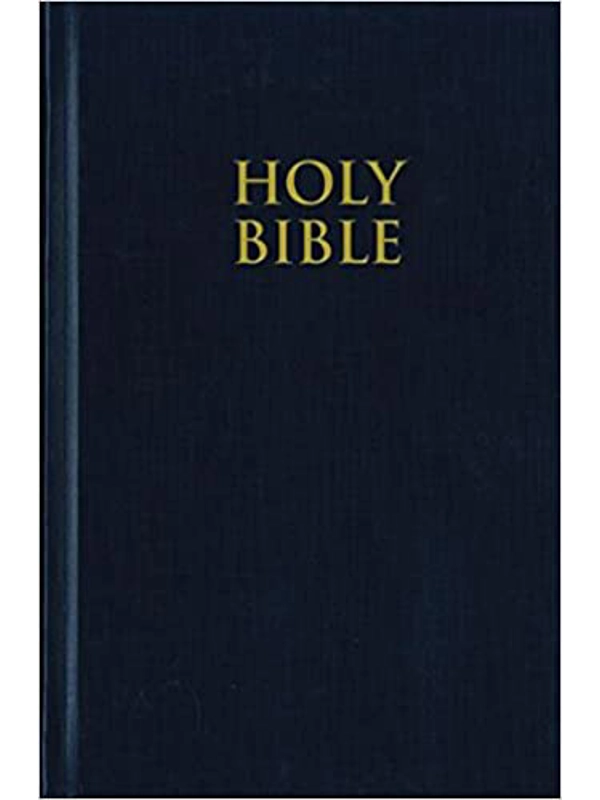 NIV, Pew Bible, Hardcover, Blue Hardcover – By Zondervan (Author)