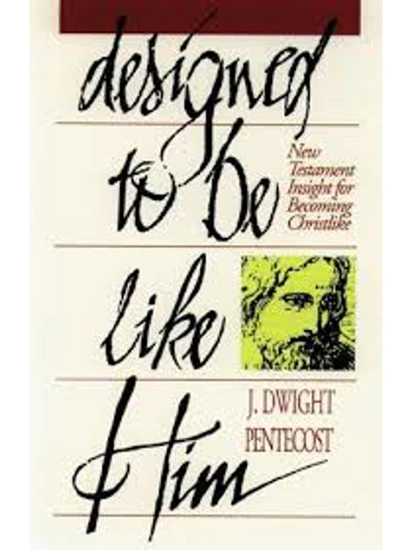 Designed to be like Him New Testament insight An edition of Designed to be like Christ Papercover -