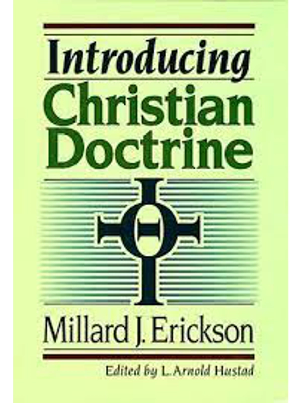 Introducing Christian Doctrine Hardcover –