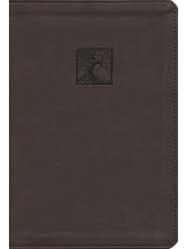 NIV God's Justice Bible: The flourishing of creation and the destruction of evil Genuine Leather – By New International Version (Author)