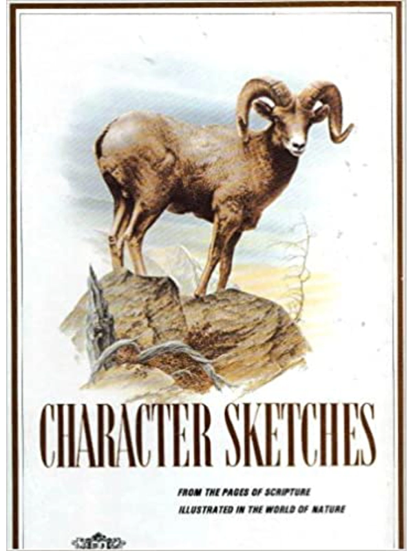 Character Sketches Volume 2 Hardcover